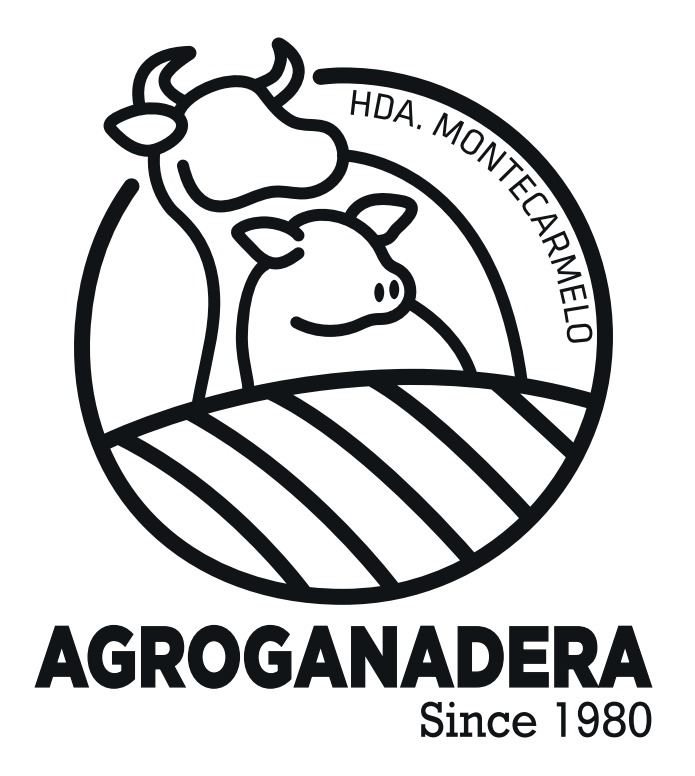 ASISTENTE DE LOGISTICA